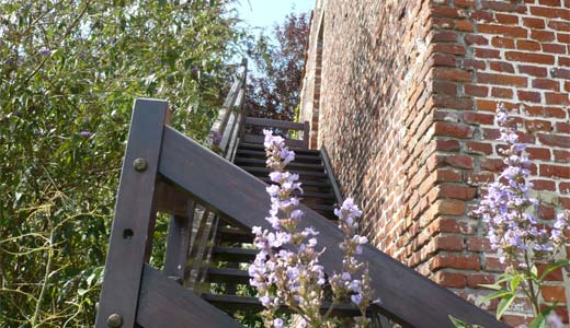 Bed and breakfast myosotis